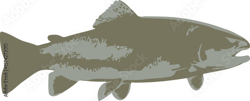 Detailed profile view of a rainbow trout fish in silhouette against a black background aquatic wildlife