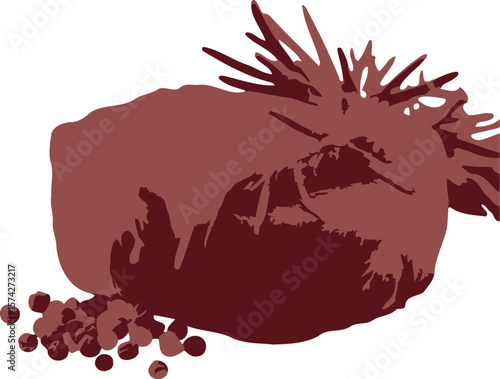 A detailed close up of a raw beef tenderloin steak garnished with rosemary and peppercorns presented in a striking silhouette