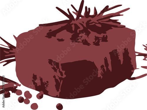 Silhouette of a raw beef tenderloin steak with rosemary garnish peppercorns and spices representing culinary food photography