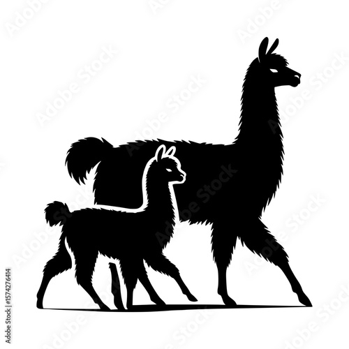 Silhouette of a mother llama and her baby walking together