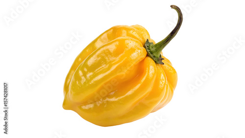 Cuadro en lienzo Bright Yellow Habanero Pepper Isolated on transparent background