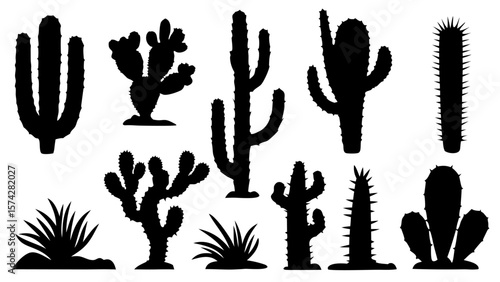Set of cactus silhouette vector illustrations. Includes various cactus shapes in black on a white background. Ideal for desert, botanical, or nature-themed design projects.