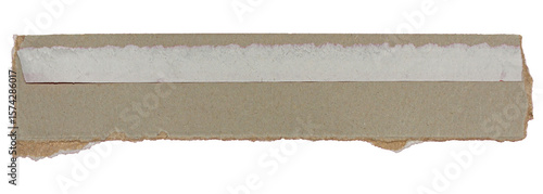 Ripped Gray Paper Texture Backgrounds with Rough Edges. Ideal for Creative Project.