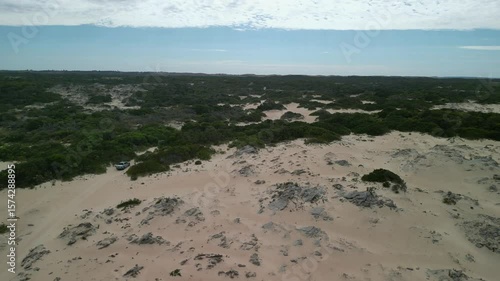 Wallpaper Mural Beachport dunes in South Australia with scattered vegetation and 4WD tracks crossing the terrain Torontodigital.ca
