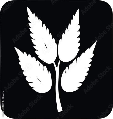 Stylized white cannabis leaf icon with serrated edges against a black square background with rounded corners