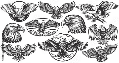 Vintage monochrome set of various eagles flying and perching on branch and mountain with forest in different situations like landing, hunting, and posing