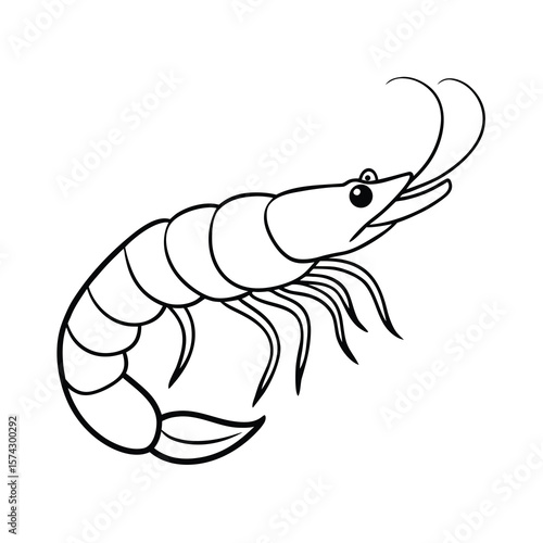 shrimp vector illustration