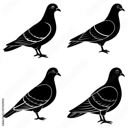 Silhouette illustration of four pigeons standing in various poses against a white background design style