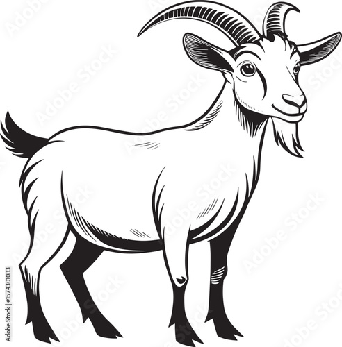 Black and white goat illustration animal livestock