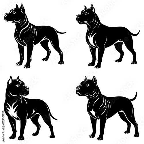 Four black pitbull dogs in various poses isolated on a white background in a vector illustration