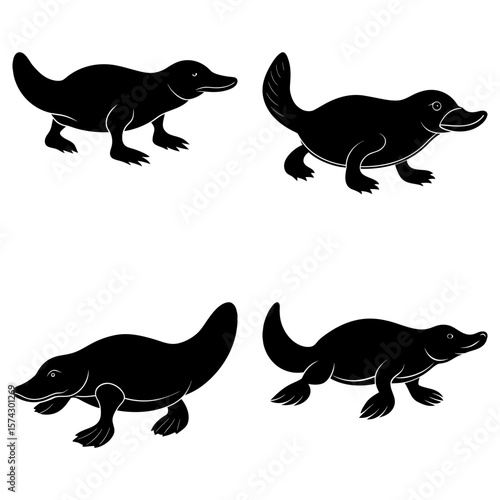 Four black platypus silhouettes in various poses on a white background graphic illustration