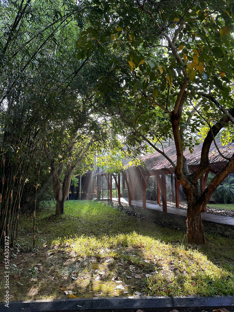 Naklejka premium peak view from a park