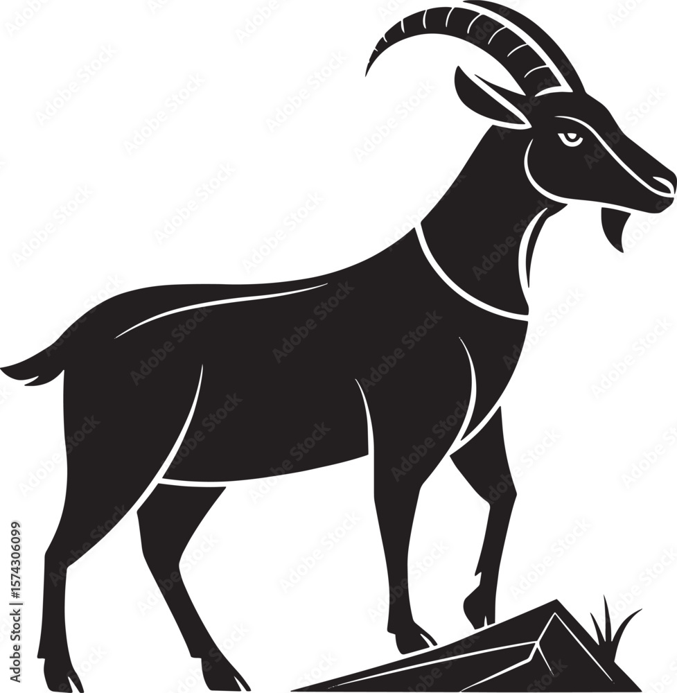 Fototapeta premium Black ibex standing on rocks goat animal