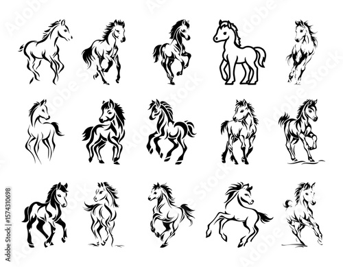 Collection of 15 different Foals – Black and White Vector Set of Young Horses