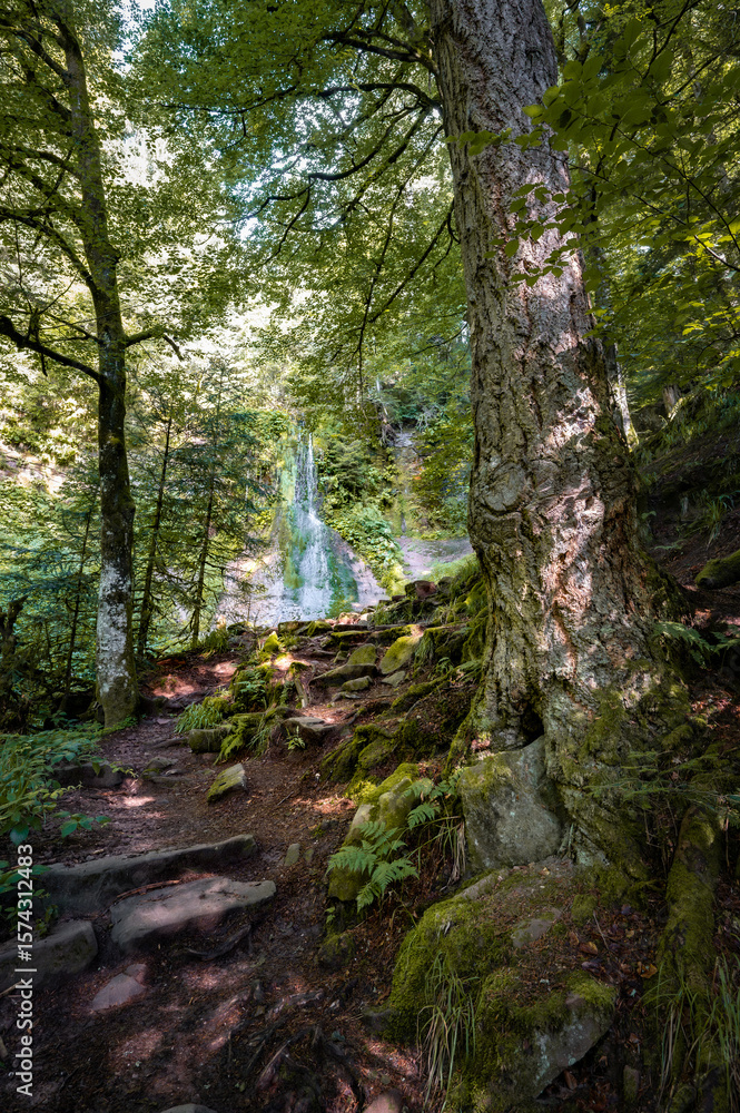 Obraz premium Baiersbronn 