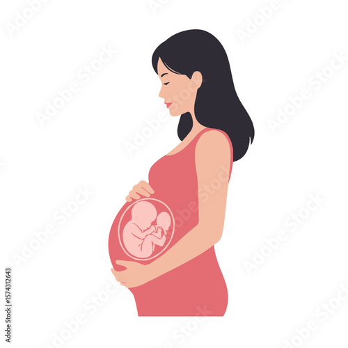 Pregnant woman anatomical profile with fetus in womb, stylized side view. Flat vector image on transparent background