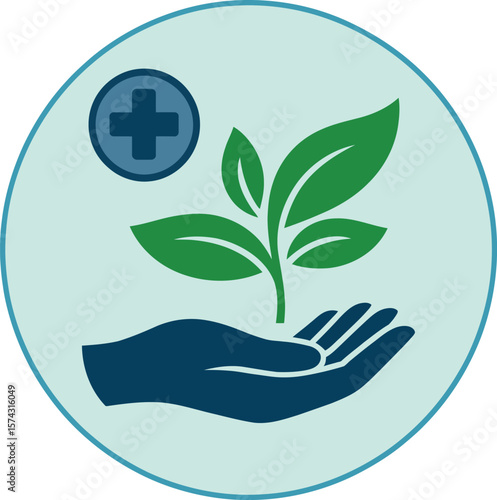 Exploring holistic health: natural remedies, plant based medicine, and wellness solutions today