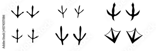 Bird foot mark print silhouette set. Bird trail goose duck foot. Raven owl parrot turkey feet, hen or chicken stump path.