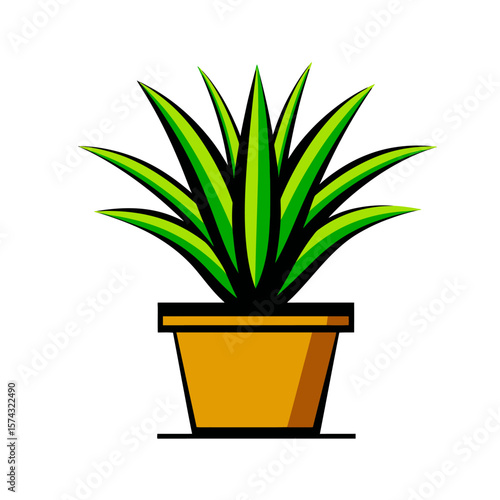 Vibrant houseplant grows indoors potted elegantly simply