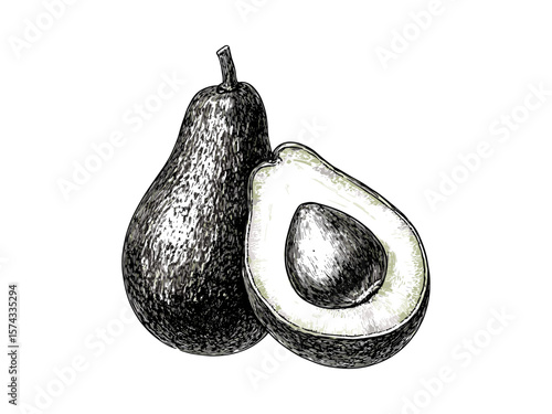 Hand-drawn avocado sketch with pit, vintage healthy fruit print, black ink design, trendy retro food decor, old engraving style illustration, antique fruit wall art