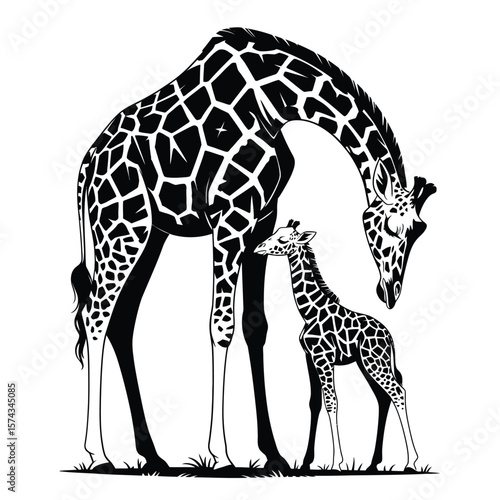 Black and white vector illustration of a giraffe mother gently bending down to her baby giraffe in a tender moment of maternal connection