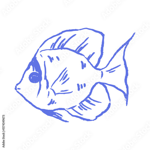 Tropical doodle fish vector with rough chalk effect. Hand drawn blue marine sketch for aquarium icons, sea infographics, underwater education graphics.