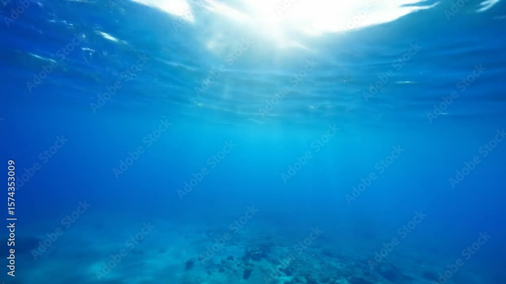 custom made wallpaper toronto digitalUnderwater sunlight