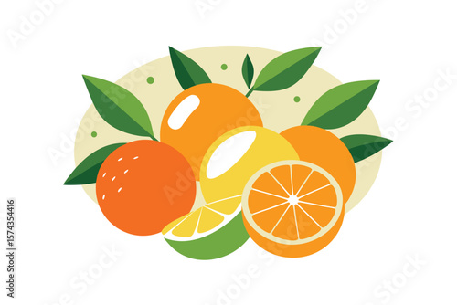 Citrus Fruits And Leaves In Abstract Style On White