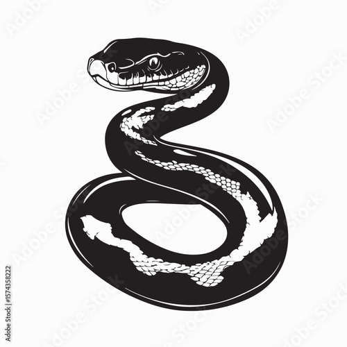 Anaconda snake from south America image vector on white background.