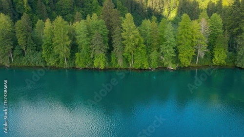 Aerial view of a turquoise lake bordered by a dense green forest on a sunny day in the wilderness