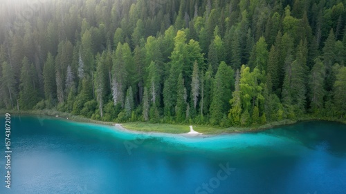 Wallpaper Mural Aerial view of turquoise lake surrounded by dense green forest in a scenic landscape shot outdoors Torontodigital.ca