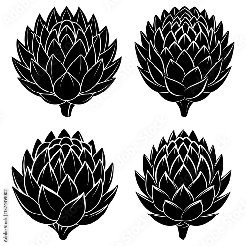 Four black and white artichoke illustrations arranged in a square format on a white background art design
