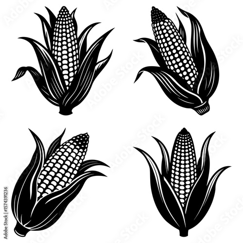 Four black and white corn cobs with husks in various positions on a white background image design