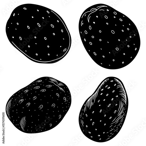 Four black and white potatoes with small circular spots in a simple hand drawn style illustration art