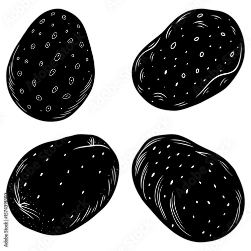 Four stylized black and white potatoes with unique textures and shapes on a white background art