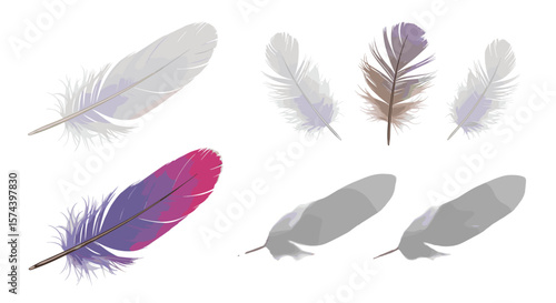 Illustration displaying a collection of feathers with varying colors and shading on a white background