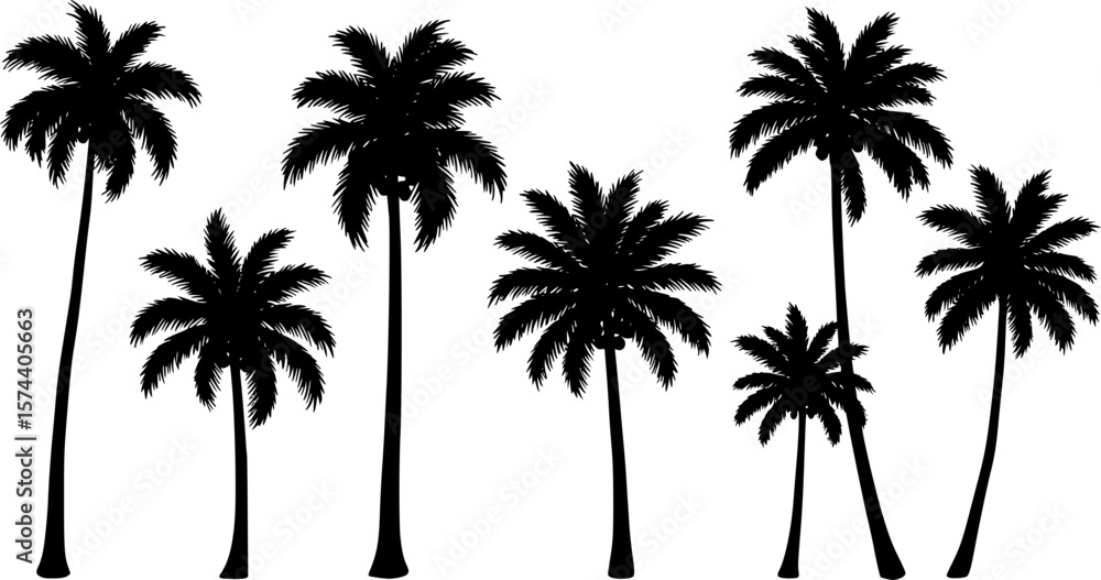 Fototapeta premium Set of black silhouettes of palm trees, betel nut, coconut tree, coconut leaves. Botanical and Jungle leaves design for nature background, Eco and summer banner, wallpaper, pattern and prints.on whi