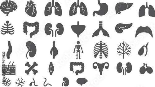 Human organs anatomy icons brain heart