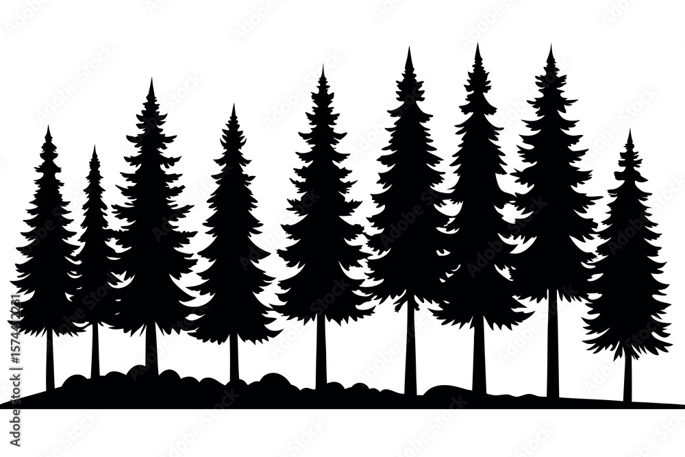 Fototapeta premium Forest of Evergreen Trees – Nature Silhouette Vector Illustration