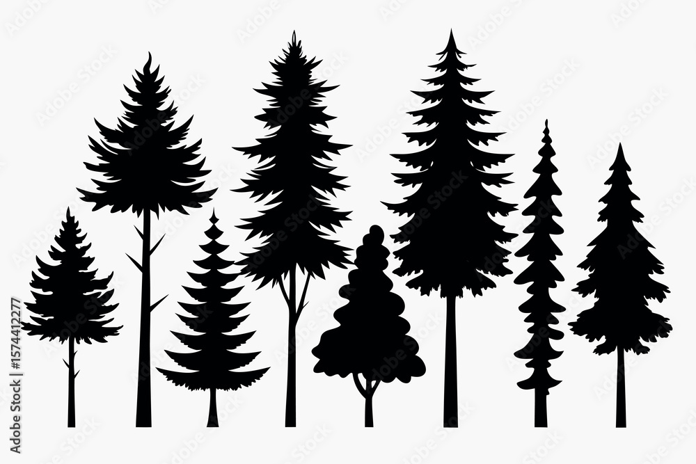 Obraz premium Silhouettes of Pine and Fir Trees in a Natural Forest Setting – Vector Design