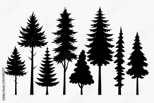 Silhouettes of Pine and Fir Trees in a Natural Forest Setting – Vector Design