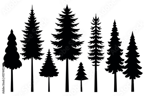 Silhouettes of Pine and Fir Trees in a Natural Forest Setting – Vector Design