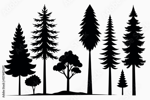 Silhouettes of Pine and Fir Trees in a Natural Forest Setting – Vector Design