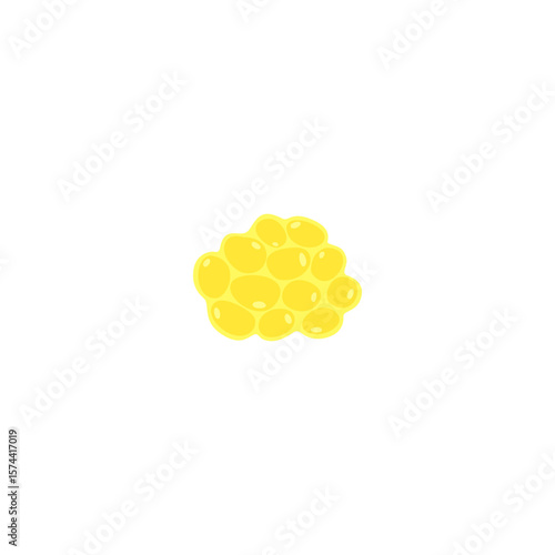 Fat cell illustration