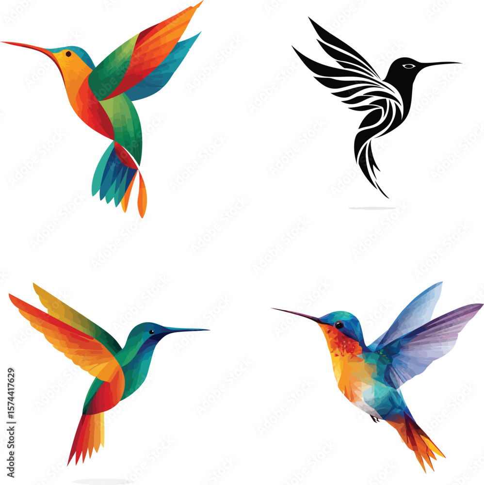 Obraz premium Four Hummingbird Illustrations, Colorful and Black Silhouettevector eps