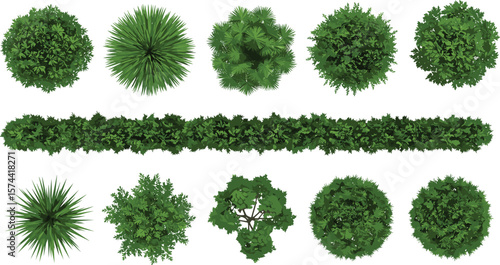 Top view green tree set, bush foliage pack, realistic garden plants, isolated landscaping elements, nature tree crown clipart illustration