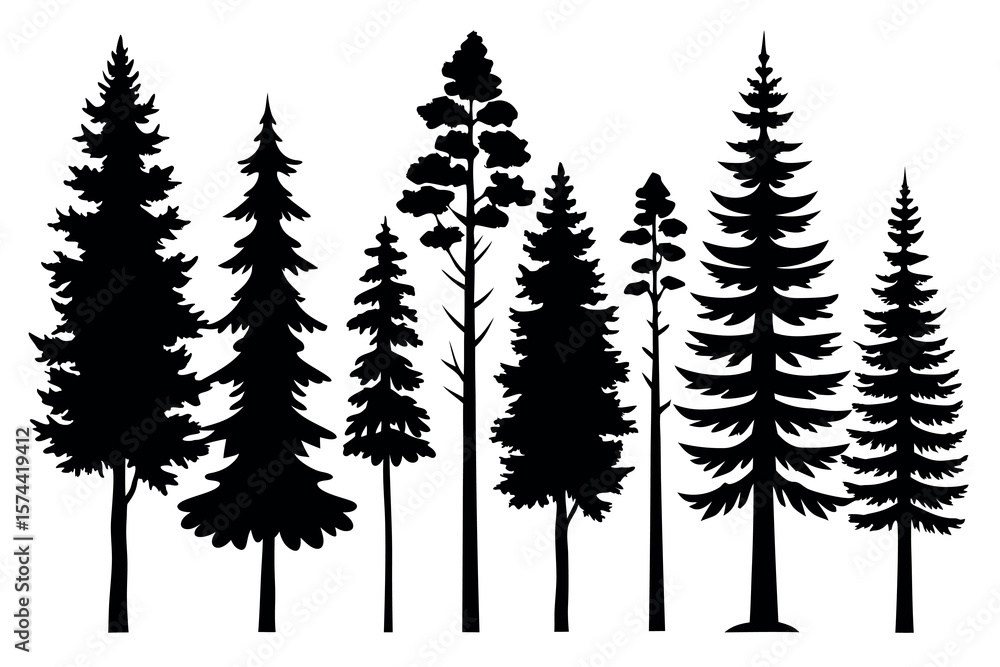 Fototapeta premium Pine Tree Silhouette Collection Isolated on White Background – Vector Set 