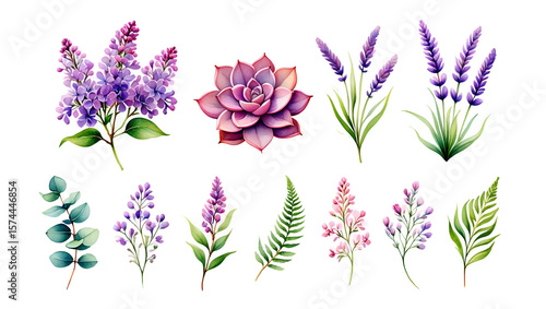 Watercolor botanical illustrations of lavender lilac succulent and eucalyptus image
