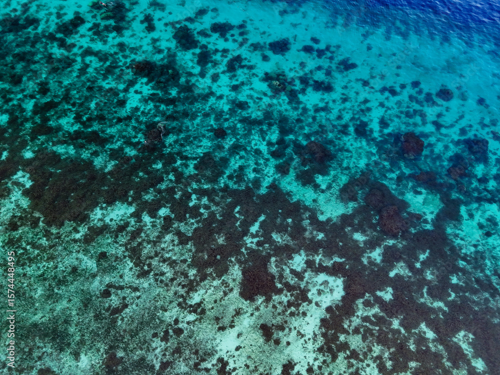 Obraz premium Surreal and hypnotic top view shot of colorful Coral Reefs in Shallow Waters in Pamilacan Island, Panglao, Bohol, Philippines