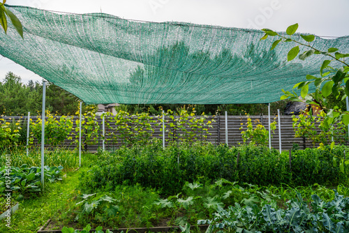 Shading net stretched over the vegetable garden. Protecting vegetable beds from the sun